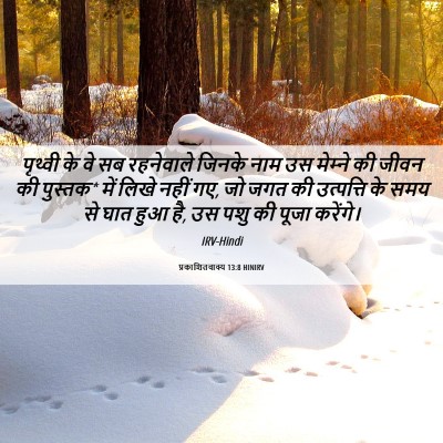 Picture 06 - प्रकाशितवाक्य 13:8 HINIRV - पृथ्वी के वे सब - Bible Verse Picture