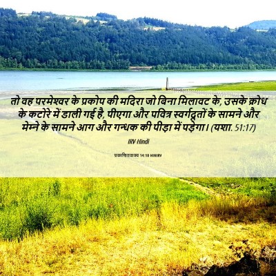 Picture 06 - प्रकाशितवाक्य 14:10 HINIRV - तो वह परमेश्‍वर के - Bible Verse Picture