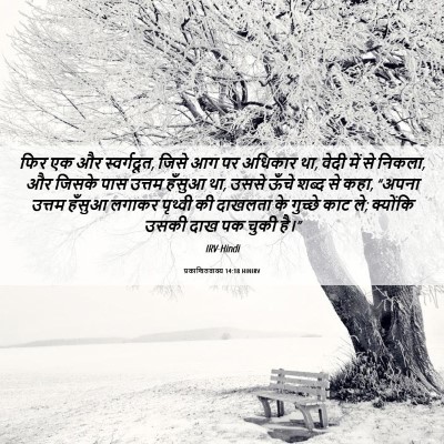 Picture 06 - प्रकाशितवाक्य 14:18 HINIRV - फिर एक और - Bible Verse Picture