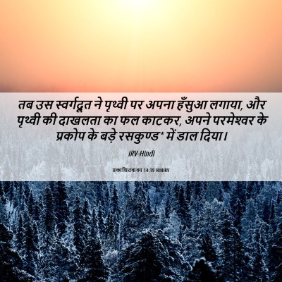 Picture 06 - प्रकाशितवाक्य 14:19 HINIRV - तब उस स्वर्गदूत ने - Bible Verse Picture