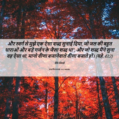 Picture 06 - प्रकाशितवाक्य 14:2 HINIRV - और स्वर्ग से मुझे - Bible Verse Picture