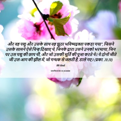 Picture 06 - प्रकाशितवाक्य 19:20 HINIRV - और वह पशु और उसके - Bible Verse Picture