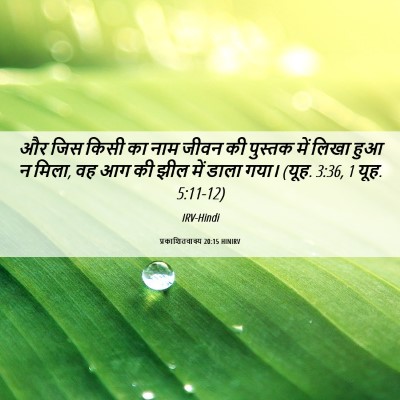 Picture 06 - प्रकाशितवाक्य 20:15 HINIRV - और जिस किसी का नाम - Bible Verse Picture