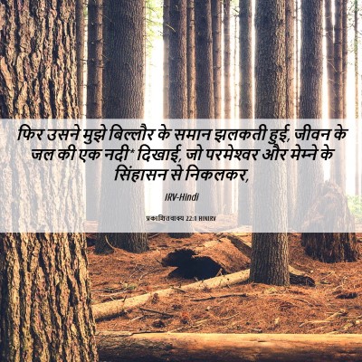 Picture 06 - प्रकाशितवाक्य 22:1 HINIRV - फिर उसने मुझे - Bible Verse Picture