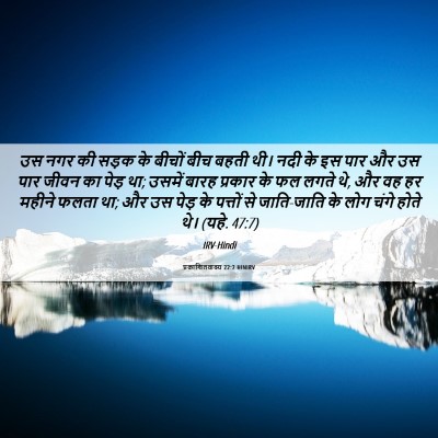 Picture 06 - प्रकाशितवाक्य 22:2 HINIRV - उस नगर की सड़क के - Bible Verse Picture