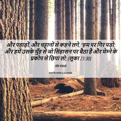 Picture 06 - प्रकाशितवाक्य 6:16 HINIRV - और पहाड़ों, और - Bible Verse Picture