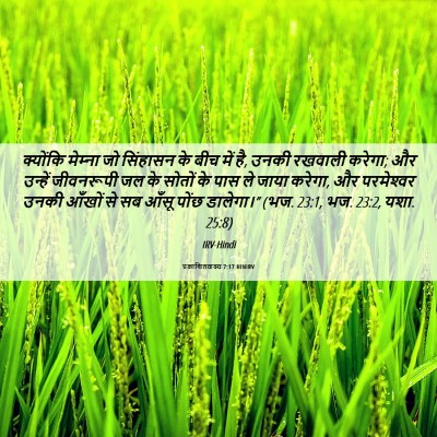 Picture 06 - प्रकाशितवाक्य 7:17 HINIRV - क्योंकि मेम्‍ना - Bible Verse Picture