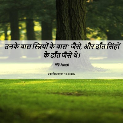 Picture 06 - प्रकाशितवाक्य 9:8 HINIRV - उनके बाल - Bible Verse Picture