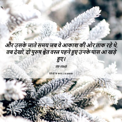 Picture 06 - प्रेरितों के काम 1:10 HINIRV - और उसके जाते समय जब - Bible Verse Picture