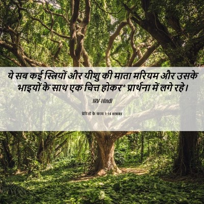 Picture 06 - प्रेरितों के काम 1:14 HINIRV - ये सब कई स्त्रियों - Bible Verse Picture
