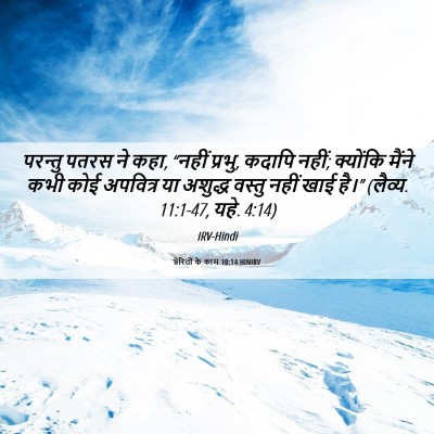 Picture 06 - प्रेरितों के काम 10:14 HINIRV - परन्तु पतरस ने कहा, - Bible Verse Picture