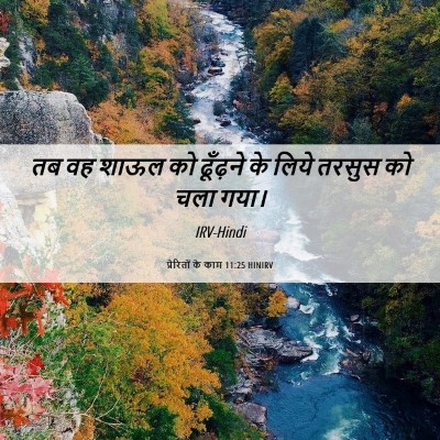 Picture 06 - प्रेरितों के काम 11:25 HINIRV - तब वह शाऊल को - Bible Verse Picture