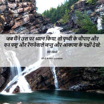 Picture 06 - प्रेरितों के काम 11:6 HINIRV - जब मैंने उस पर - Bible Verse Picture