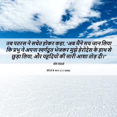 Picture 06 - प्रेरितों के काम 12:11 HINIRV - तब पतरस ने सचेत - Bible Verse Picture