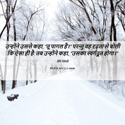 Picture 06 - प्रेरितों के काम 12:15 HINIRV - उन्होंने उससे कहा, - Bible Verse Picture