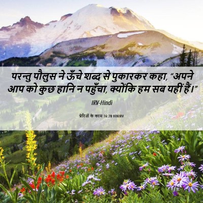 Picture 06 - प्रेरितों के काम 16:28 HINIRV - परन्तु पौलुस ने - Bible Verse Picture