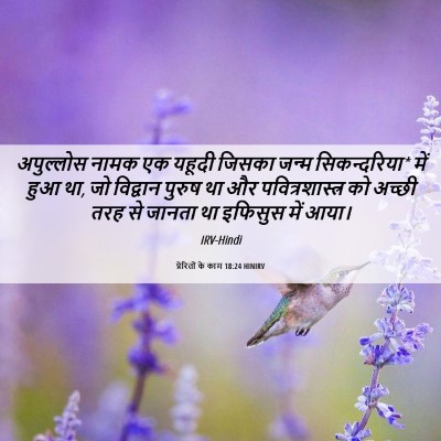 Picture 06 - प्रेरितों के काम 18:24 HINIRV - अपुल्लोस नामक एक - Bible Verse Picture