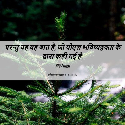 Picture 06 - प्रेरितों के काम 2:16 HINIRV - परन्तु यह वह बात - Bible Verse Picture