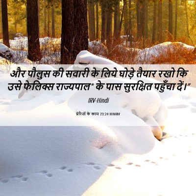 Picture 06 - प्रेरितों के काम 23:24 HINIRV - और पौलुस की सवारी - Bible Verse Picture