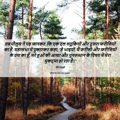 Picture 06 - प्रेरितों के काम 23:6 HINIRV - तब पौलुस ने यह - Bible Verse Picture