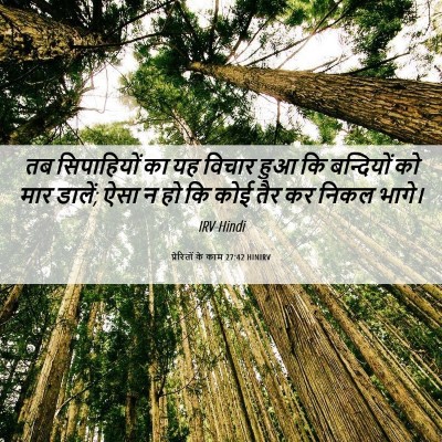 Picture 06 - प्रेरितों के काम 27:42 HINIRV - तब सिपाहियों का यह - Bible Verse Picture