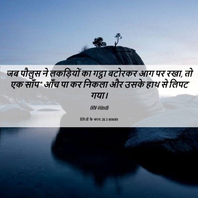 Picture 06 - प्रेरितों के काम 28:3 HINIRV - जब पौलुस ने - Bible Verse Picture
