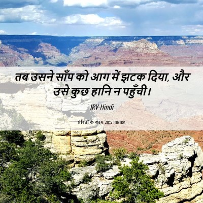 Picture 06 - प्रेरितों के काम 28:5 HINIRV - तब उसने साँप को आग - Bible Verse Picture