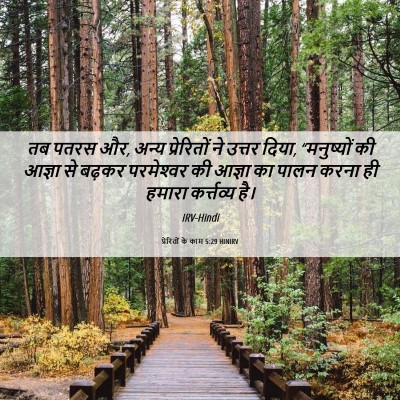 Picture 06 - प्रेरितों के काम 5:29 HINIRV - तब पतरस और, अन्य - Bible Verse Picture