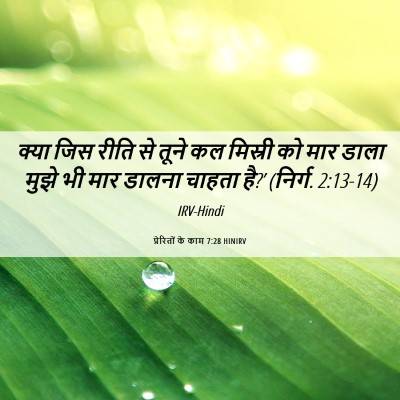 Picture 06 - प्रेरितों के काम 7:28 HINIRV - क्या जिस रीति से - Bible Verse Picture