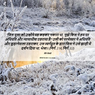 Picture 06 - प्रेरितों के काम 7:35 HINIRV - “जिस मूसा को - Bible Verse Picture
