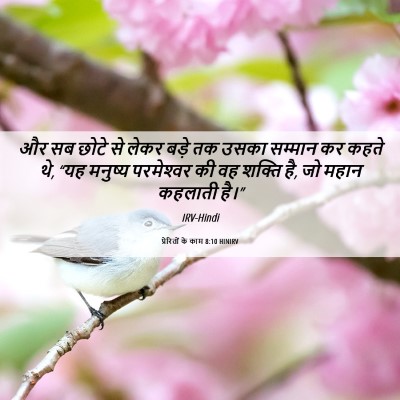 Picture 06 - प्रेरितों के काम 8:10 HINIRV - और सब छोटे से लेकर - Bible Verse Picture