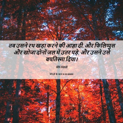 Picture 06 - प्रेरितों के काम 8:38 HINIRV - तब उसने रथ खड़ा - Bible Verse Picture