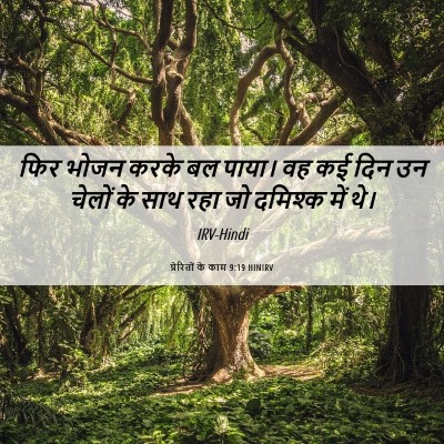 Picture 06 - प्रेरितों के काम 9:19 HINIRV - फिर भोजन करके बल - Bible Verse Picture