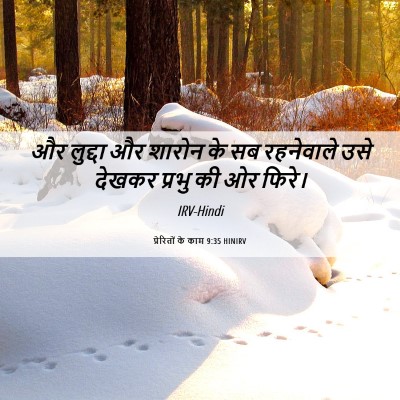 Picture 06 - प्रेरितों के काम 9:35 HINIRV - और लुद्दा और शारोन - Bible Verse Picture