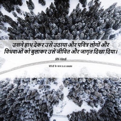 Picture 06 - प्रेरितों के काम 9:41 HINIRV - उसने हाथ देकर उसे - Bible Verse Picture