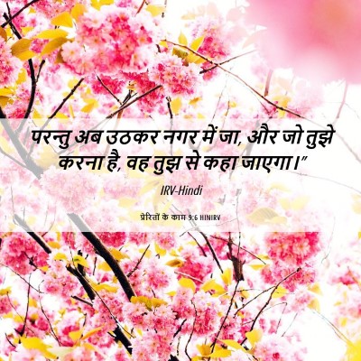 Picture 06 - प्रेरितों के काम 9:6 HINIRV - परन्तु अब उठकर नगर - Bible Verse Picture