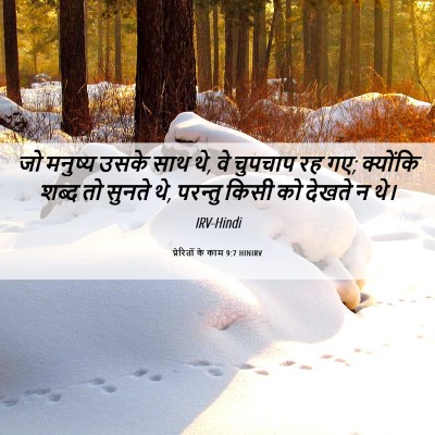 Picture 06 - प्रेरितों के काम 9:7 HINIRV - जो मनुष्य उसके साथ - Bible Verse Picture