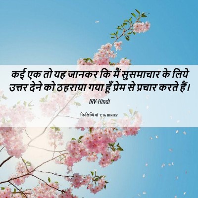 Picture 06 - फिलिप्पियों 1:16 HINIRV - कई एक तो यह जानकर - Bible Verse Picture