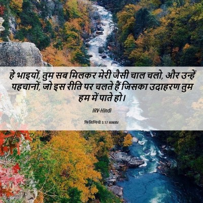 Picture 06 - फिलिप्पियों 3:17 HINIRV - हे भाइयों, तुम सब - Bible Verse Picture