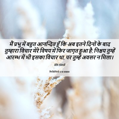 Picture 06 - फिलिप्पियों 4:10 HINIRV - मैं प्रभु में बहुत - Bible Verse Picture