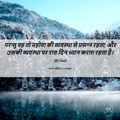 Picture 06 - भजन संहिता 1:2 HINIRV - परन्तु वह तो यहोवा - Bible Verse Picture