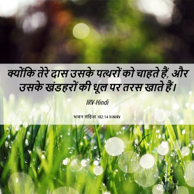 Picture 06 - भजन संहिता 102:14 HINIRV - क्योंकि तेरे दास - Bible Verse Picture