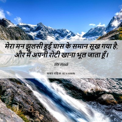 Picture 06 - भजन संहिता 102:4 HINIRV - मेरा मन झुलसी हुई - Bible Verse Picture