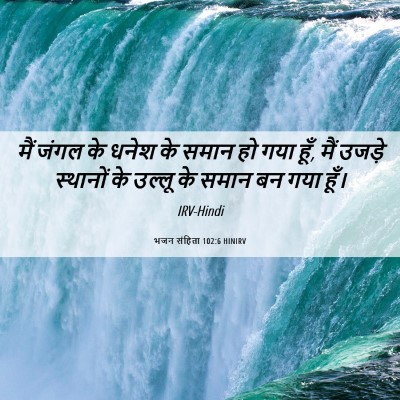 Picture 06 - भजन संहिता 102:6 HINIRV - मैं जंगल के धनेश के - Bible Verse Picture