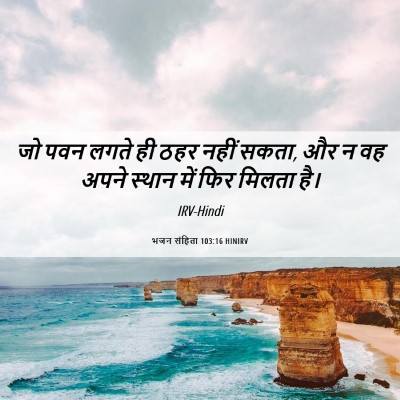 Picture 06 - भजन संहिता 103:16 HINIRV - जो पवन लगते ही ठहर - Bible Verse Picture