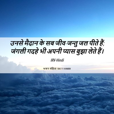 Picture 06 - भजन संहिता 104:11 HINIRV - उनसे मैदान के सब - Bible Verse Picture