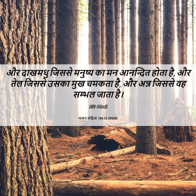 Picture 06 - भजन संहिता 104:15 HINIRV - और दाखमधु जिससे - Bible Verse Picture