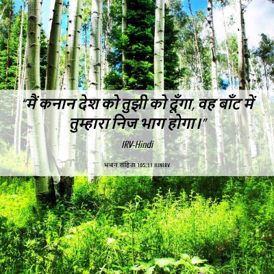 Picture 06 - भजन संहिता 105:11 HINIRV - “मैं कनान देश को - Bible Verse Picture