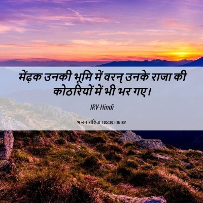 Picture 06 - भजन संहिता 105:30 HINIRV - मेंढ़क उनकी भूमि - Bible Verse Picture