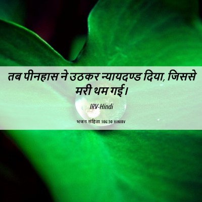 Picture 06 - भजन संहिता 106:30 HINIRV - तब पीनहास ने उठकर - Bible Verse Picture